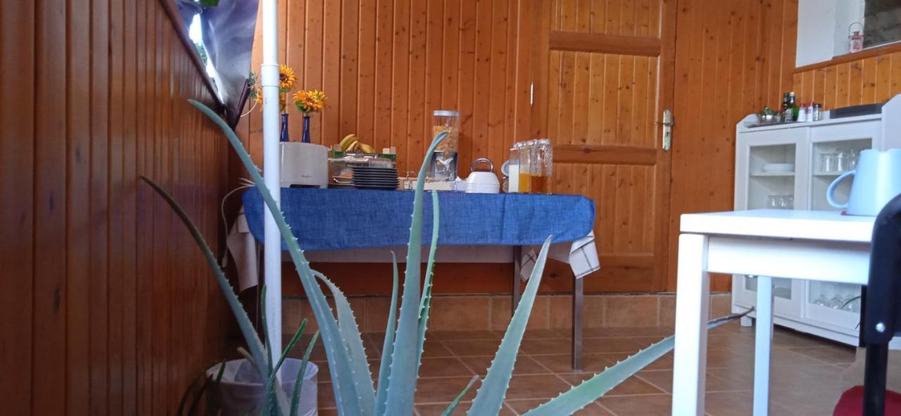 B&B Paraiso Del Sol Maspalomas  Dış mekan fotoğraf
